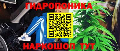 эйфоретик Заволжье
